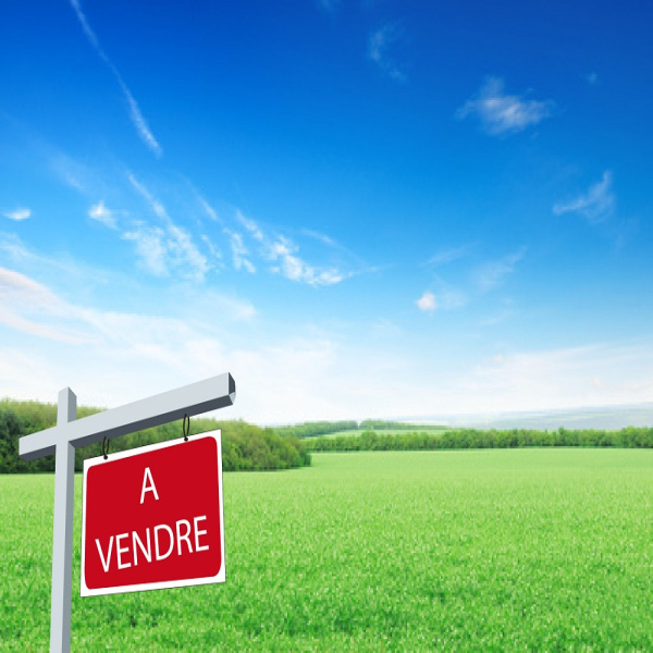 Offres de vente Terrain Chaulnes 80320
